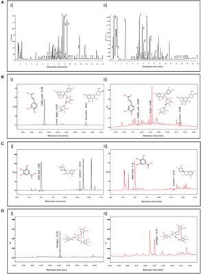 Polyherbal Medicine Divya Sarva-Kalp-Kwath Ameliorates Persistent Carbon Tetrachloride Induced Biochemical and Pathological Liver Impairments in Wistar Rats and in HepG2 Cells